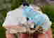 item-131521350=6