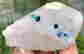 item-131521351=4