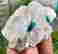 item-131521352=2