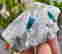 item-131521352=5