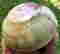 item-131521391=12
