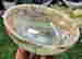 item-131521391=13