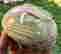 item-131521391=14