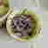 item-131521391=5