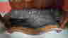 item-131522318=5