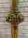 item-131522345=6