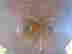 item-131673688=5