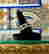 item-131701941=6