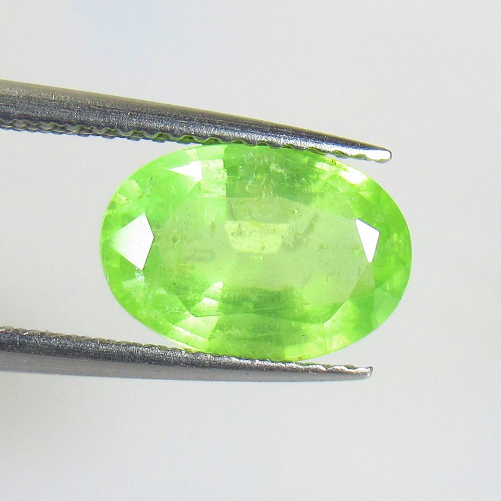 2.74 Ctw Natural Tsavorite Kyanite Oval Cut: No Reserve! Title: 2.74 Ctw Natural Tsavorite Kyanite Oval Cut Stone Clarity: VS Gemstones: Kyanite Carat Weights: 2.74 Size/Dimensions: 10.70 x 7.50 x 4.30 mm Additional Information: Very Good Qualit