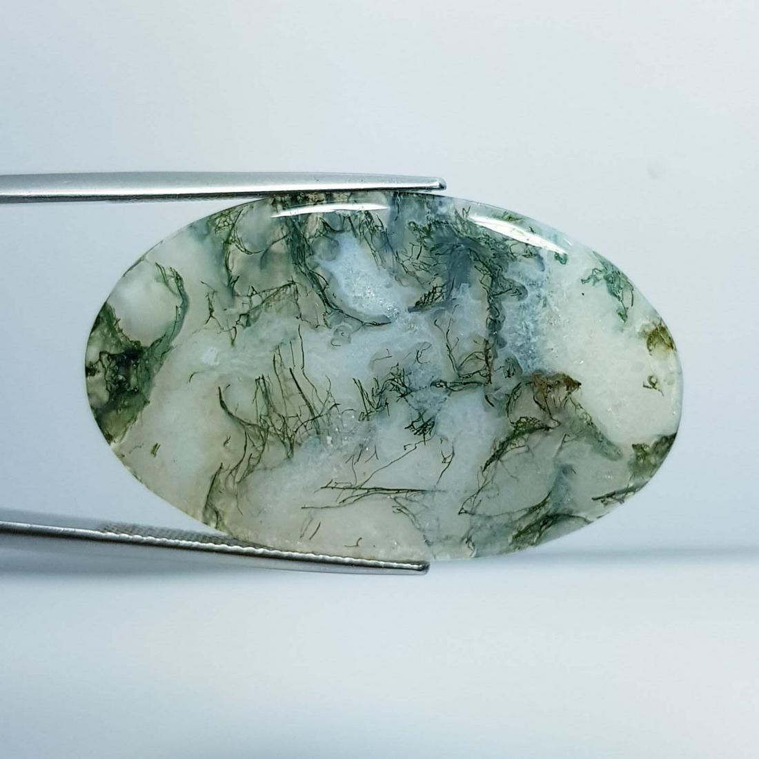 37.14 ct Natural Tree Jasper (1 of 3)