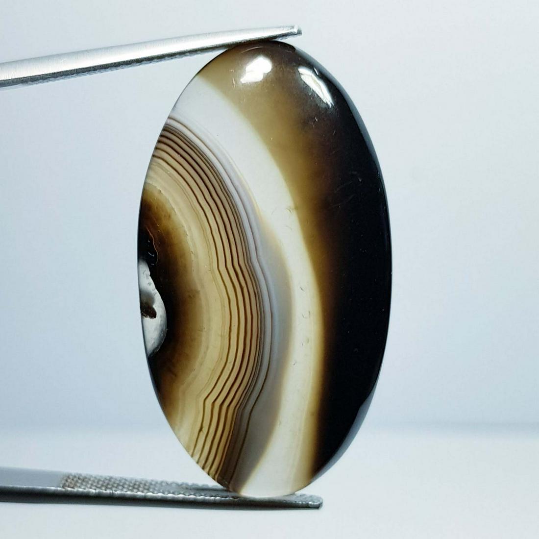 37.93 ct Natural Brown Lace Agate (1 of 4)