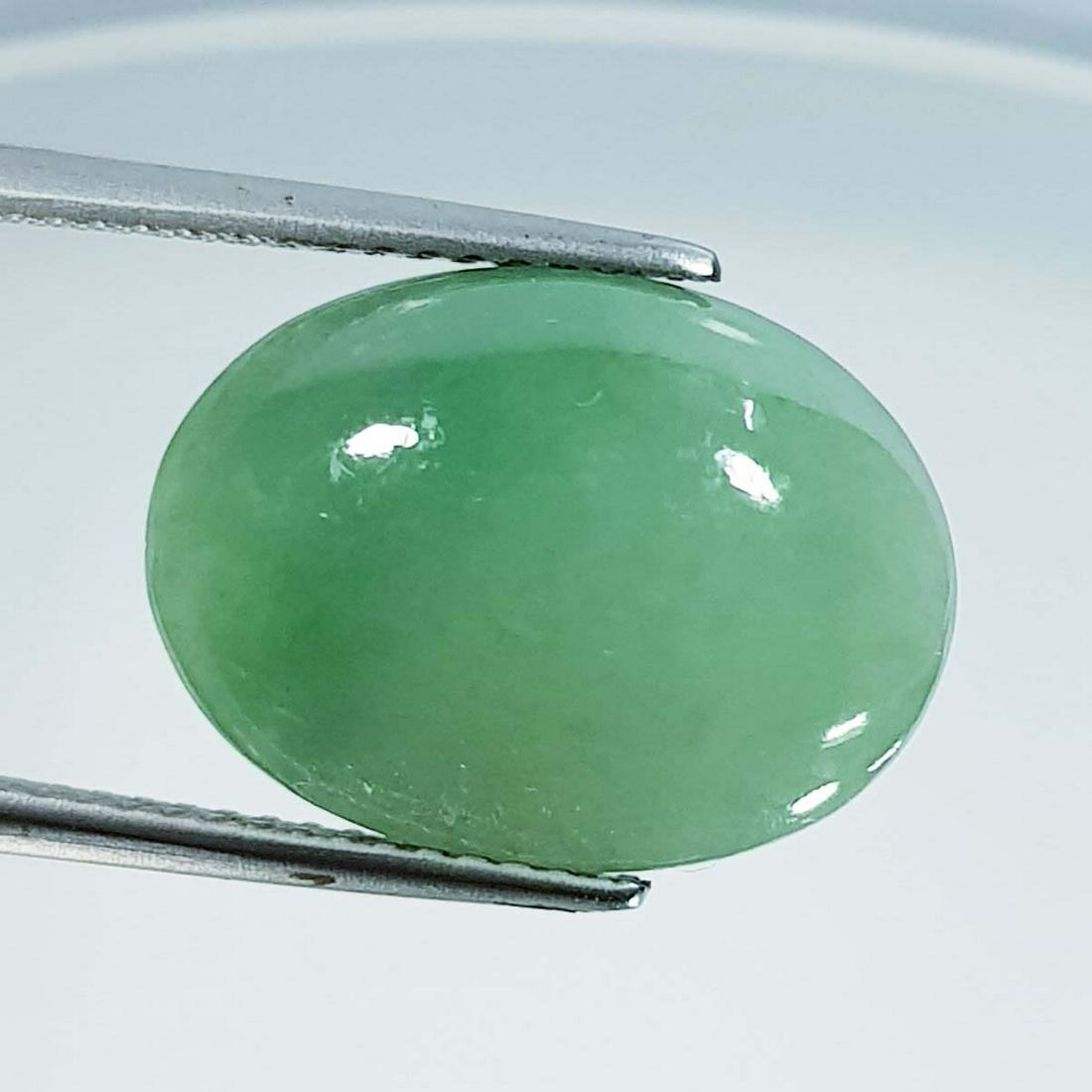 9.23 ct Natural Green Jade: No Reserve! Title: 9.23 ct Natural Green Jade Color/Clarity: Green / Transparent Gemstones: Jade Carat Weights: 9.23 Size/Dimensions: 16.00 x 12.00 x 5.70 Additional Information: Oval / Burma Shipping