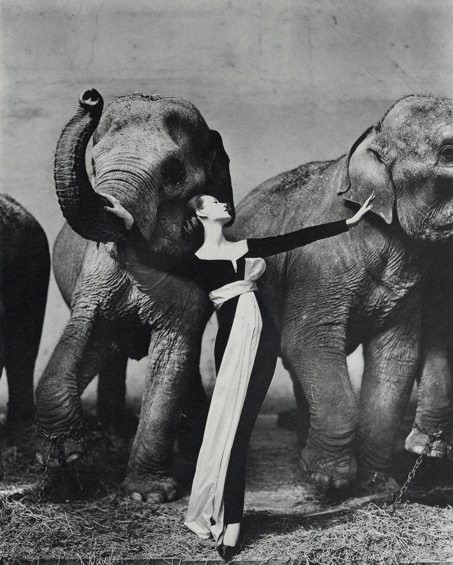 RICHARD AVEDON - Dovima and the Elephants, 1955: Artist: Richard Avedon Title: Dovima and the Elephants, Evening Dress by Dior, Cirque D'Hiver, 1955 Medium: Photo Litho, 1999, USA Dimensions: 6x7.45" Description: Heat Wax Mounted on 8.5x11" Conserva