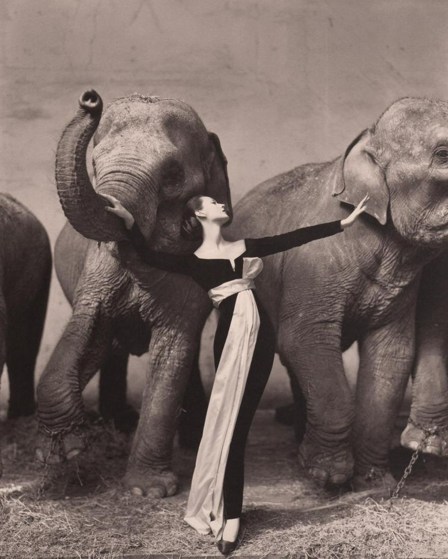 RICHARD AVEDON - Dovima with Elephants, Paris, 1955: Artist:RICHARD AVEDON Print Title: Dovima with Elephants, Paris, 1955 Medium:Photo-lithograph Printed in 2000s in Denmark Image size (inches) approx 9.5 x 7.5 ” Richard Avedon (1923-2004) was an