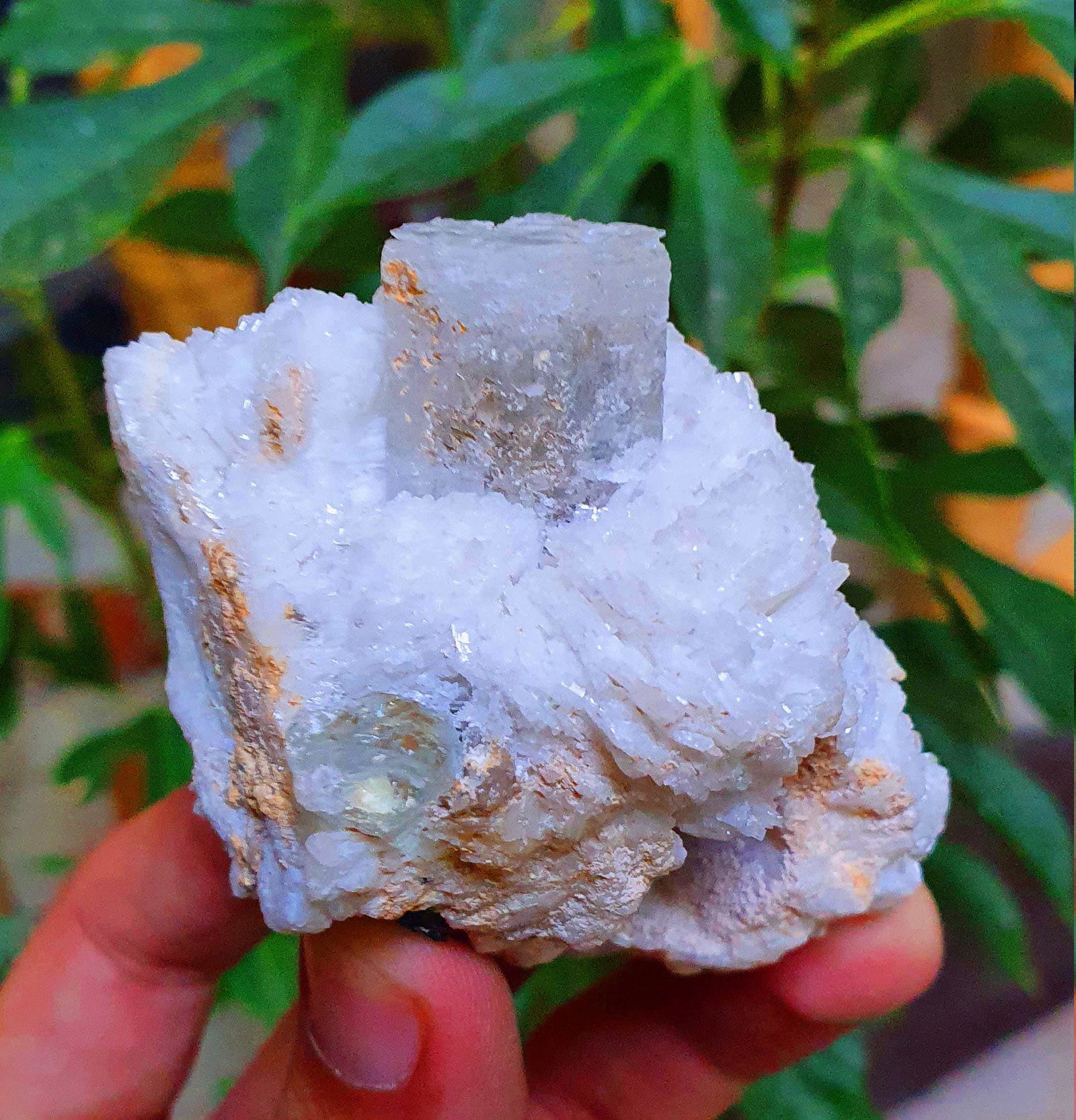 Aquamarine Specimen on Feldspar / Aquamarine Mineral/ Aquamarine Beryl/ Aquamarine Crystal/: Materials: Gem type: Aquamarine Description Aquamarine Specimen on Feldspar / Aquamarine Mineral/ Aquamarine Beryl/ Aquamarine Crystal/ Aquamarine from Nigar 134 Gram = 70*45*38 mm Weight : 134 Gram S