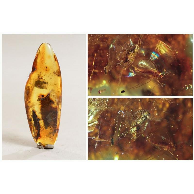 12,8g Baltic amber stone fossil 2 ants insects inclusion: There are two fossil ants in stone. Weight: 12,8 gram (0,45 oz) Size: 12x28x75 mm Inclusion: 2 ants (formicidae) Age: 45-50 million years old Stone: 100% natural Baltic amber Treatment: no Condition: