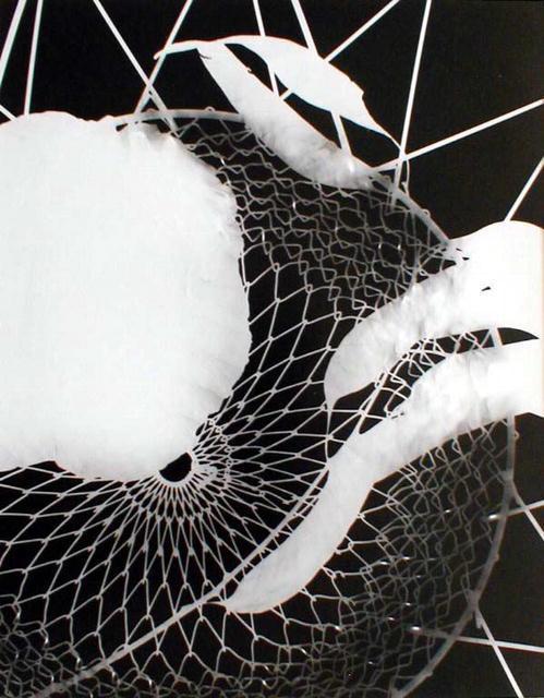 Photo Montage- unique photogram: Title: Photo Montage- unique photogram Date: c.1979/1979 Medium: gelatin silver print Dimensions: 10 x 8 inches Description: The photograher, Marcia Schor’s Los Altos, California address and tit
