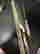 item-132800592=5