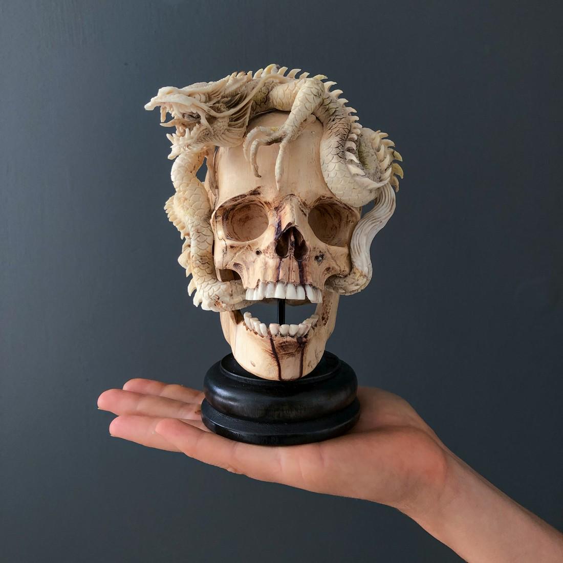 Human skull with stand - Stunning dragon carving: Title: Human skull with stand - Stunning dragon carving Origin: Indonesia Date/Period: 2021 Materials: Tamarind Wood, Deer antler, bone Dimensions: H: 20 cm / 7.8 inches W: 12 cm / 4.7 inches L: 13 cm