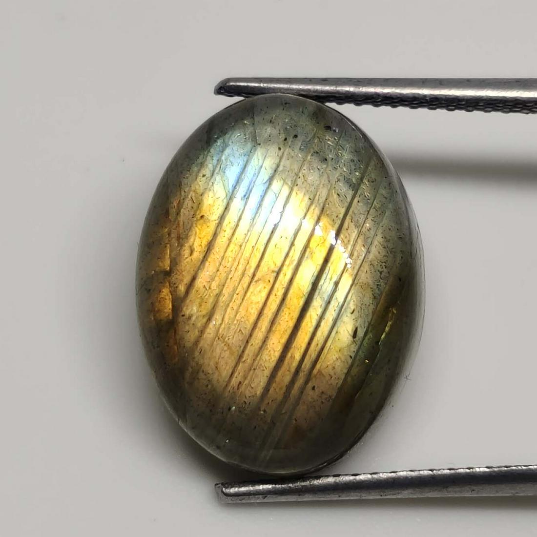 10.95 ct Natural Labradorite: No Reserve! Gemstones: Labradorite Carat Weights: 10.95 ct Size/Dimensions: 16 X 12 X 6.5 mm Origin : Labrador Shipping: Domestic: Flat-rate of $7.00 to anywhere within the contiguous U.S. Internation