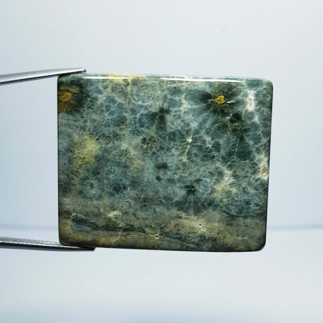 65. 90 ct Natural Occean Jasper: No Reserve! Title: 65. 90 ct Natural Occean Jasper Color/Clarity: Green / Opaque Gemstones: Jasper Carat Weights: 65.9 Size/Dimensions: 39.75 x 33.15 x 4.50 Additional Information: Octogan / Brazil Sh