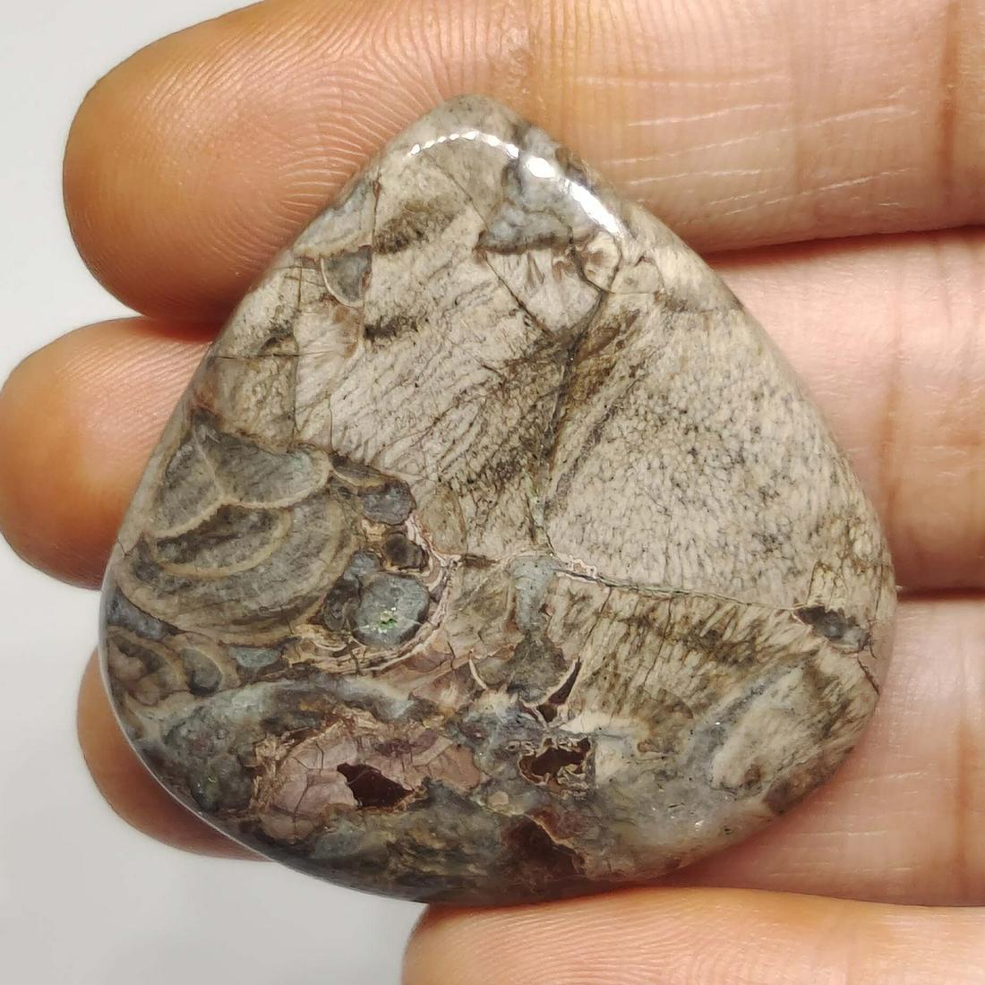 58.20 ct Natural Mushroom Jasper: No Reserve! Gemstones: Jasper Carat Weights: 58.20 ct Size/Dimensions: 36 X 34 X 6 mm Shipping: Domestic: Flat-rate of $7.00 to anywhere within the contiguous U.S. International: Foreign shipping rate