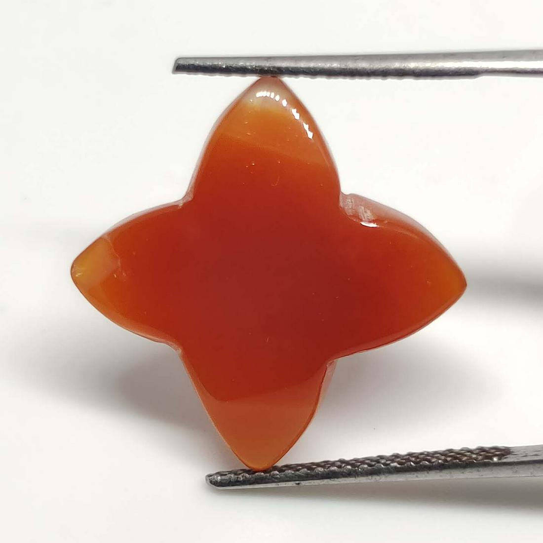 9.40 ct Natural Carnelian Star Cab: No Reserve! Gemstones: Carnelian Carat Weights: 9.40 ct Size/Dimensions: 15 X 15 mm Shipping: Domestic: Flat-rate of $7.00 to anywhere within the contiguous U.S. International: Foreign shipping rates 
