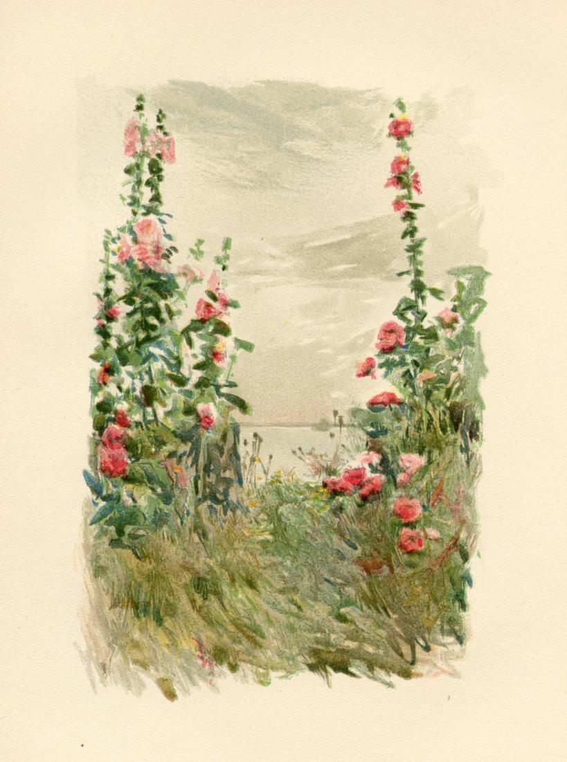 Childe Hassam chromolithograph "Hollyhocks in Late Summer" (1 of 1)