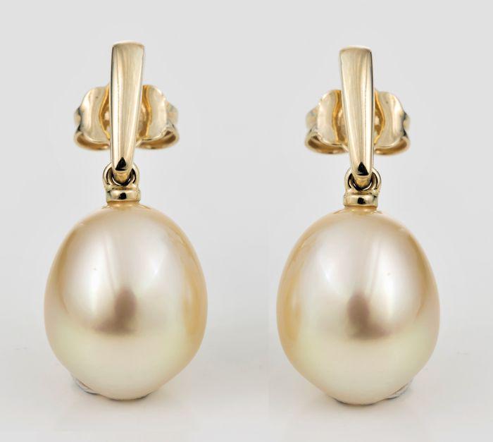 10x11mm Golden South Sea Pearls - 14 kt. Yellow gold - Earrings: Title: 10x11mm Golden South Sea Pearls - 14 kt. Yellow gold - Earrings Description: Produced by the gold-lipped Pinctada Maxima Oyster in the warm waters of Australia to Indonesia, these pearls have a