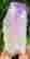 item-132941890=6