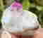 item-132941901=6