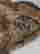 item-132966808=8