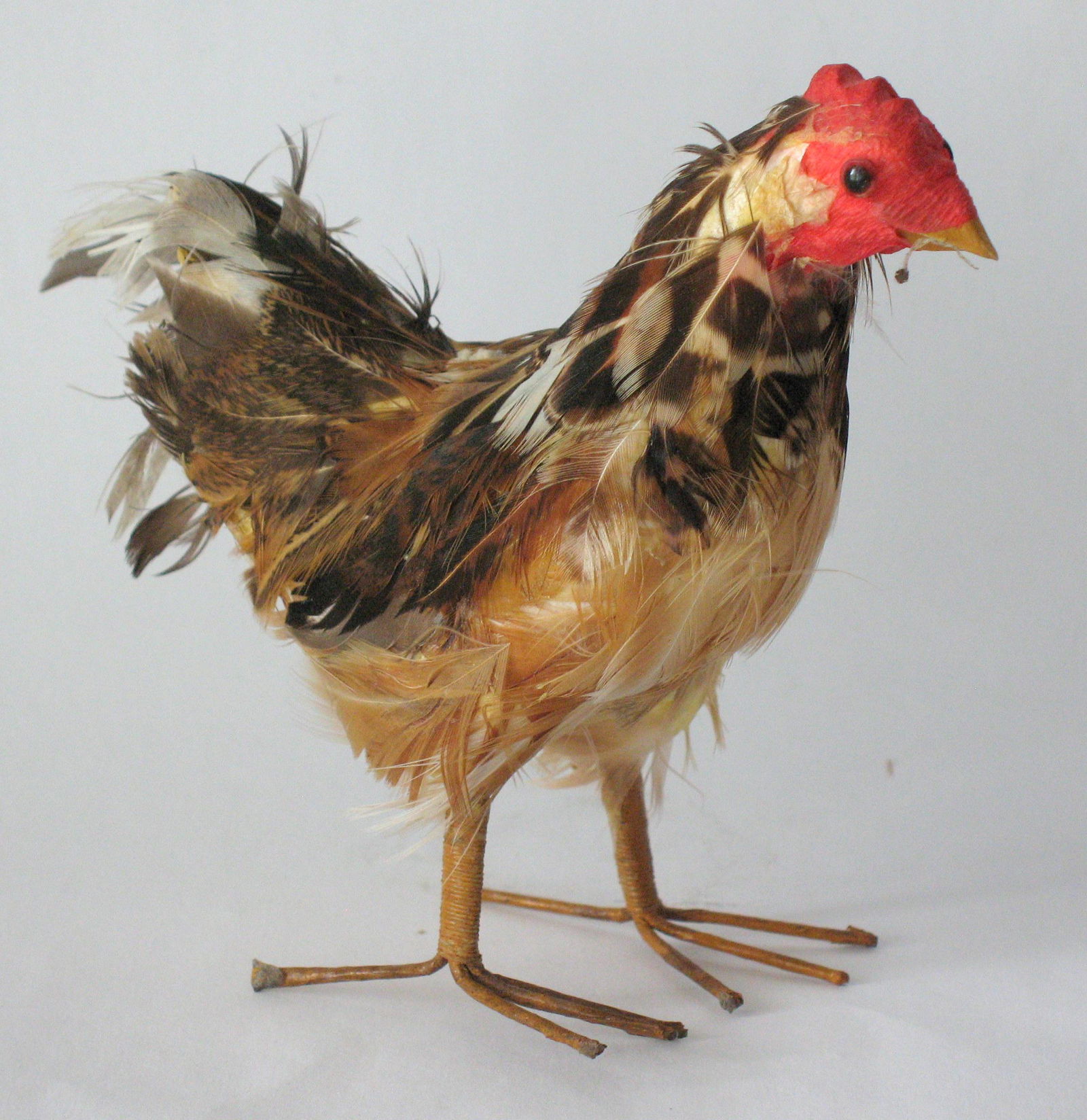 Vintage Barnyard Chicken (1 of 3)
