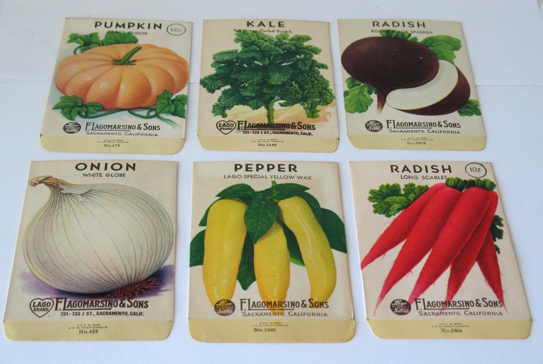 Group Of Vintage Country Store Seed Packets (1 of 4)