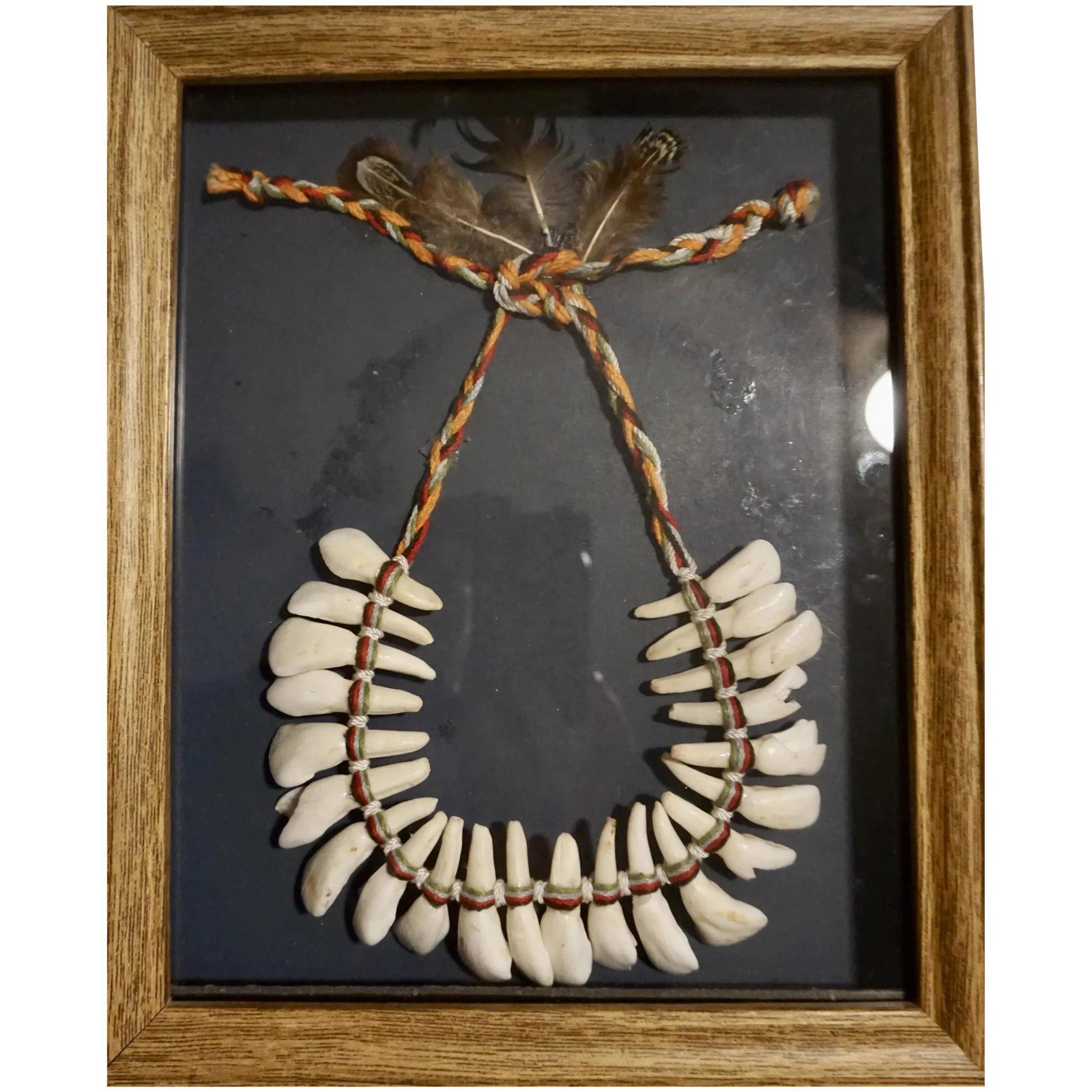 Authentic Vintage Native American Horse Teeth Necklace: Authentic Vintage Native American Horse Teeth Necklace placed in shadow box frame will be taken out before shipping Shipping: Domestic: Flat-rate of $20.00 to anywhere within the contiguous U.S. Inter