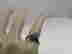 item-133044099=8