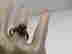 item-133044100=7