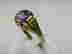 item-133044224=3