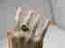 item-133044224=8