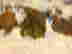 item-133045991=4
