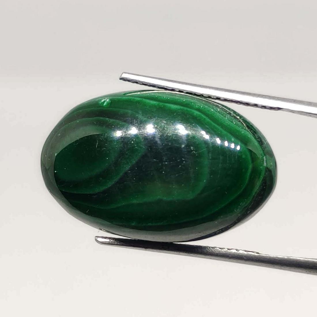 27.65 ct Natural Malachite: No Reserve! Gemstones: Malachite Carat Weights: 27.60ct Size/Dimensions: 23 X 14.5 X 7 mm Shipping: Domestic: Flat-rate of $7.00 to anywhere within the contiguous U.S. International: Foreign shipping