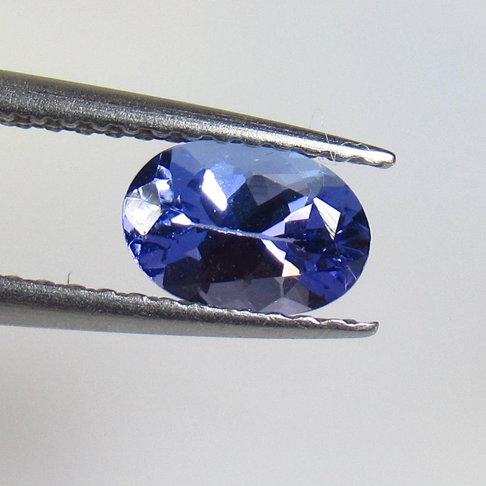0.82 Ctw Natural Tanzanite Oval Cut: No Reserve! Title: 0.82 Ctw Natural Tanzanite Oval Cut Stone Clarity: VVS Gemstones: Natural Tanzanite Size/Dimensions: 0.82 Carat Weights: 7.10 x 5.00 x 3.60 mm Additional Information: Top Quality Lu