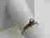 item-133367611=3