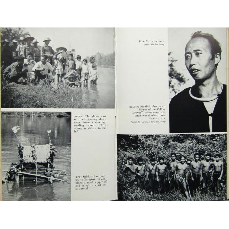 Consul in Paradise (1 of 4)