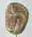 item-133375176=5