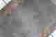 item-133618740=4