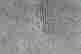 item-133618740=8
