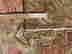 item-133619185=8