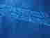 item-133619882=10