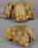 item-133652861=2